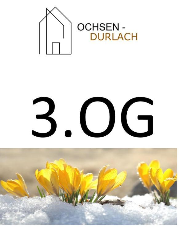 Ochsen-Durlach Karlsruhe Chambre photo